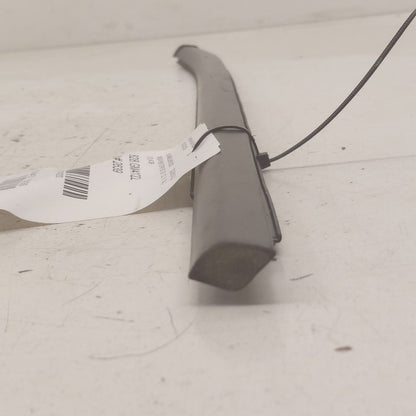 Buick Encore GX Door Glass Window Weather Strip Trim Rear Left Driver 