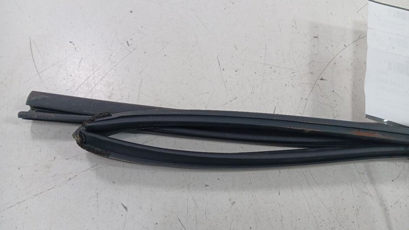Honda Civic Door Glass Window Seal Rubber Right Passenger Rear Back 20