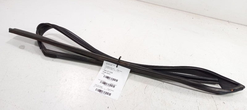 Lexus GS350 Door Glass Window Seal Rubber Left Driver Front 2007 2008 