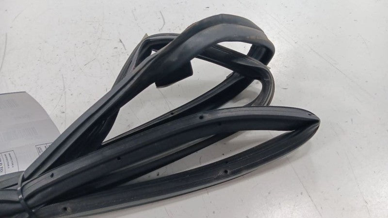 Infiniti G37 On Door Seal Rubber Left Rear Back  2011 2012 2013