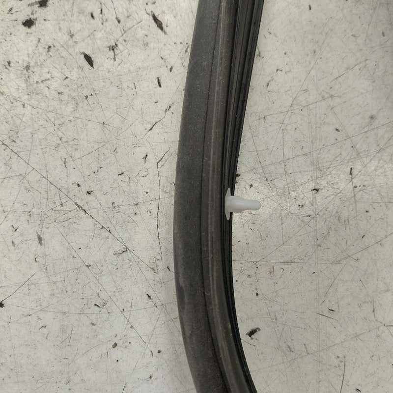 Hyundai Santa Fe On Door Seal Rubber Left Driver Front  2019 2020