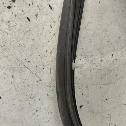 Hyundai Santa Fe On Door Seal Rubber Left Driver Front  2019 2020