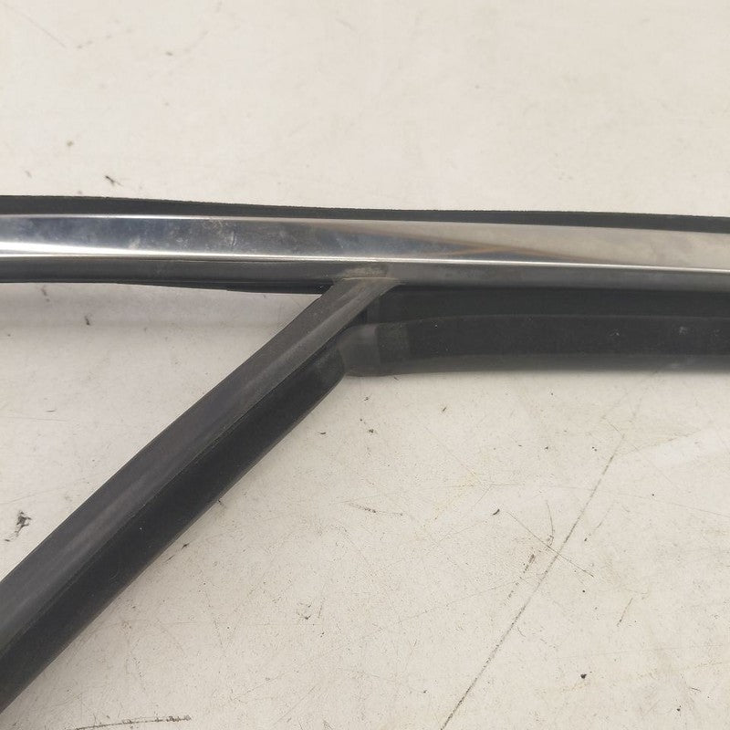 Kia Sorento Door Glass Window Seal Rubber Left Driver Front  2018 2017