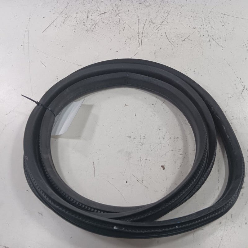 Ford Ecosport On Body Door Jamb Seal Front Right Passenger  2022 2021 