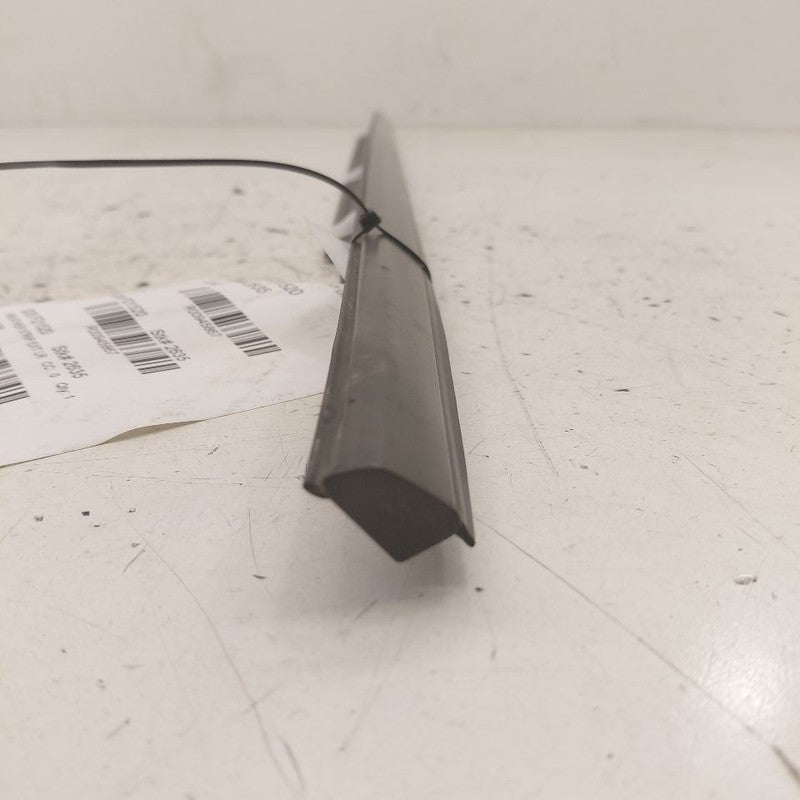 Ford Edge Door Glass Window Weather Strip Trim Rear Left Driver Back  