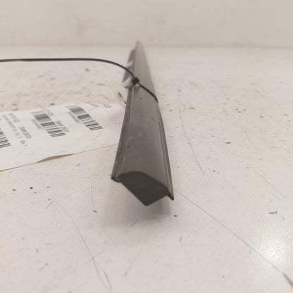Ford Edge Door Glass Window Weather Strip Trim Rear Left Driver Back  