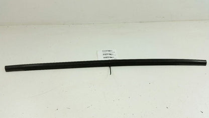 Hyundai Elantra Door Glass Window Weather Strip Trim Rear Right Passenger 2010