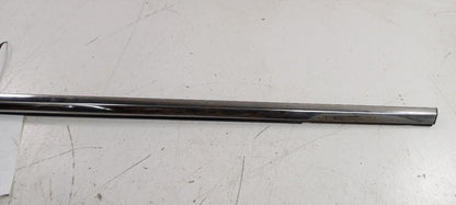 Hyundai Sonata Door Glass Window Weather Strip Trim Front Left Driver 