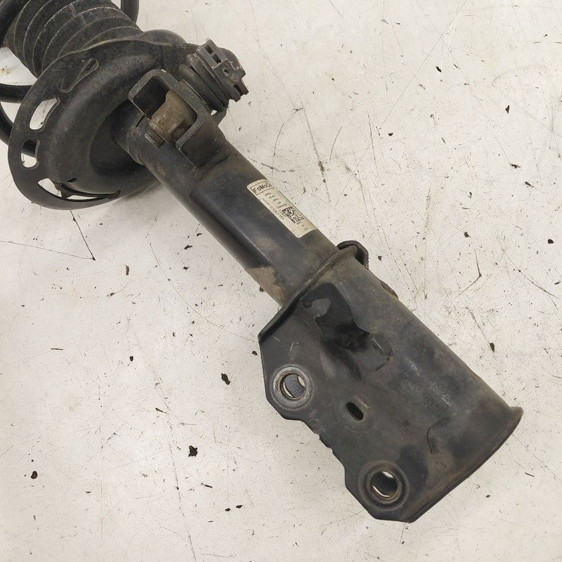 Driver Left Front Strut AWD Fits 20-22 Ford Escape