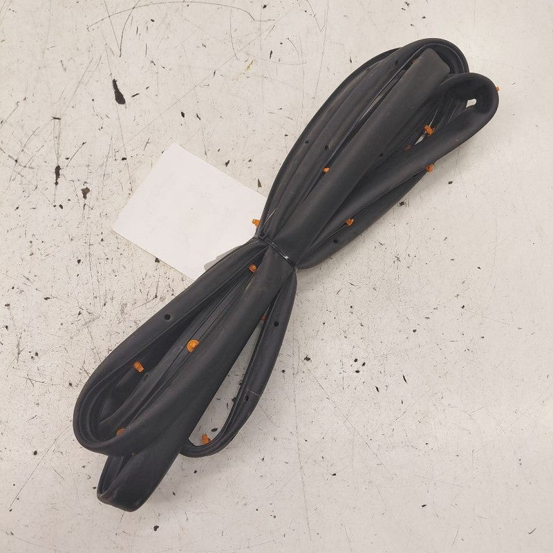 Ford Edge On Door Seal Rubber Left Driver Front  2019 2020 2021 2022
