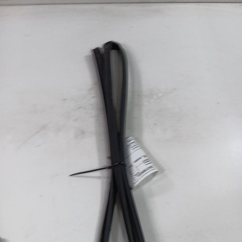 Honda Civic Door Glass Window Seal Rubber Left Driver Front  2018 2017 2016
