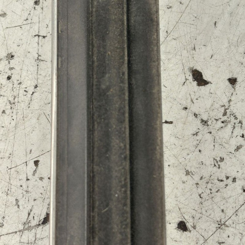 Ford Edge Door Glass Window Weather Strip Trim Rear Left Driver Back  