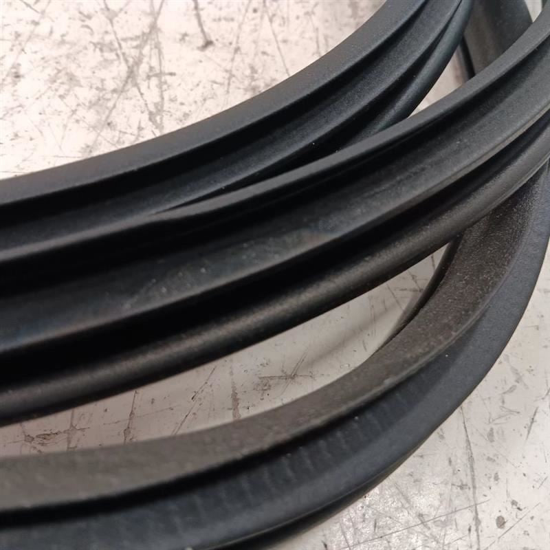 Nissan LEAF On Body Door Jamb Seal Gasket Front Left Driver  2013 2014 2015 2016