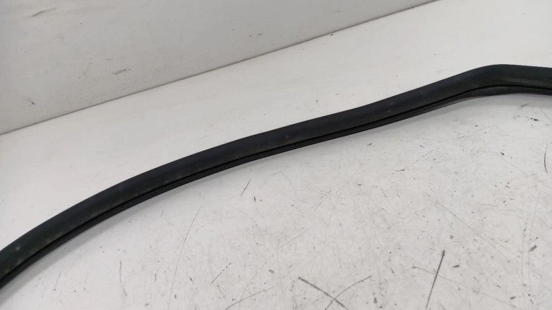 Hyundai Sonata On Body Door Jamb Seal Front Right Passenger 2011 2012 