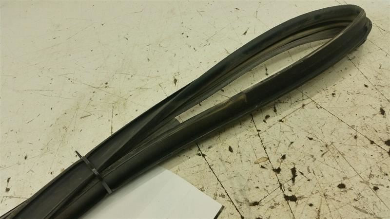Dodge Journey Door Glass Window Seal Rubber Gasket Left Driver Front 2009 2010