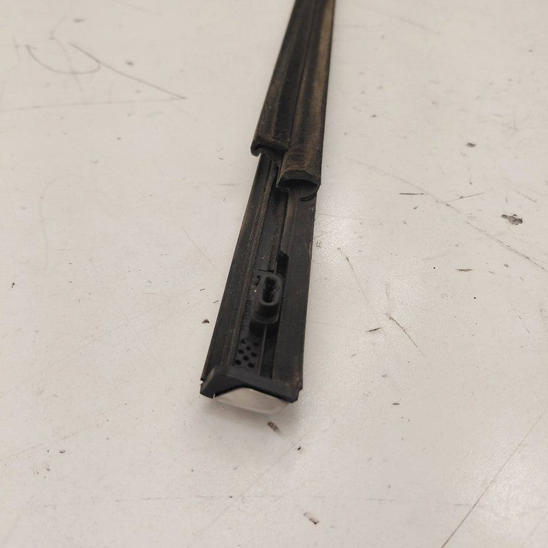Ford Ecosport Door Glass Window Weather Strip Trim Front Right Passeng