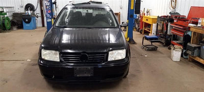 1J4845202K Passenger Right Front Door Glass Window  City Canada Only 4 Door Fits 99-11 GOLF