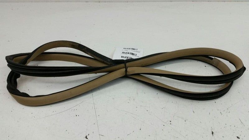 Nissan Sentra On Body Door Jamb Seal Gasket Rear Left Back OEM 2007 2008