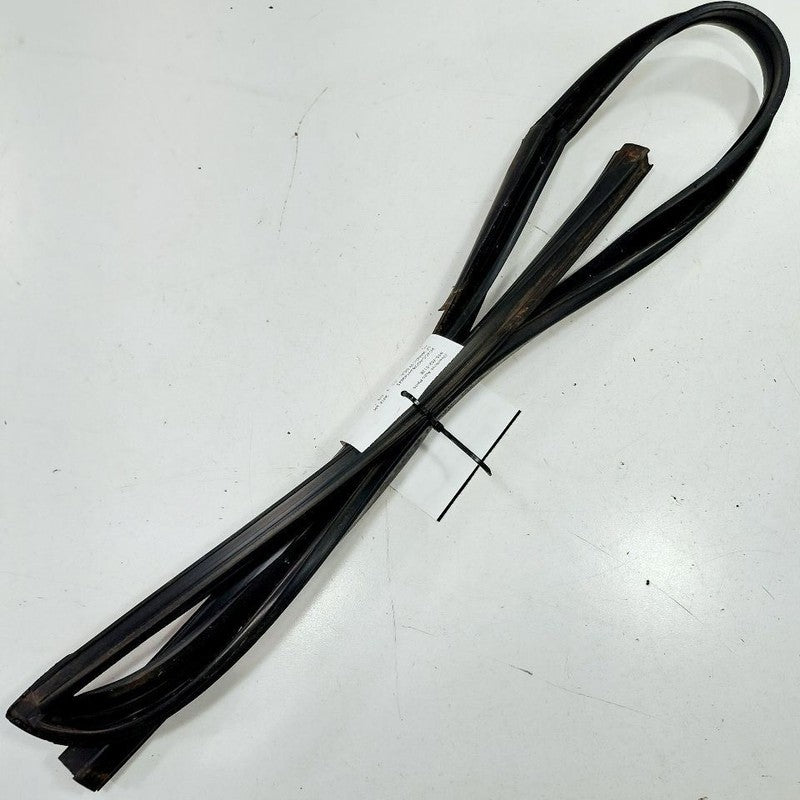Chrysler 300 Door Glass Window Seal Rubber Left Driver Front  2017 201