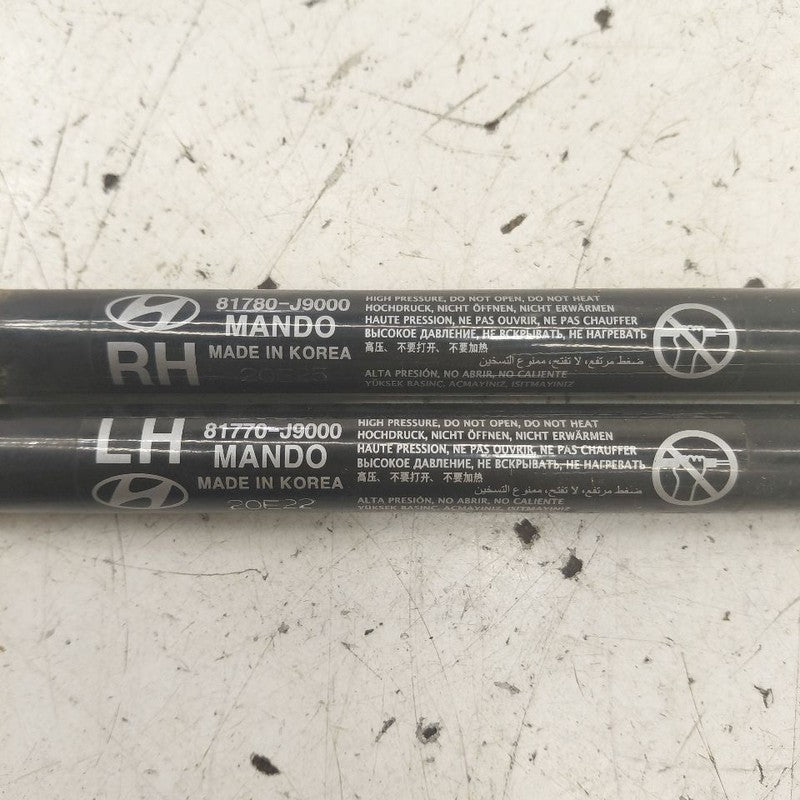 Hyundai Kona Hatchback Hatch Back Trunk Lid Shock Strut Support  2021 