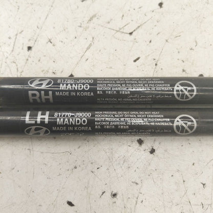 Hyundai Kona Hatchback Hatch Back Trunk Lid Shock Strut Support  2021 