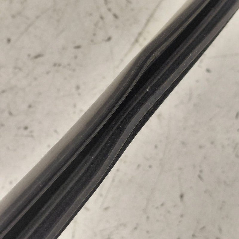 Chevy Volt Door Glass Window Weather Strip Trim Rear Right Passenger S