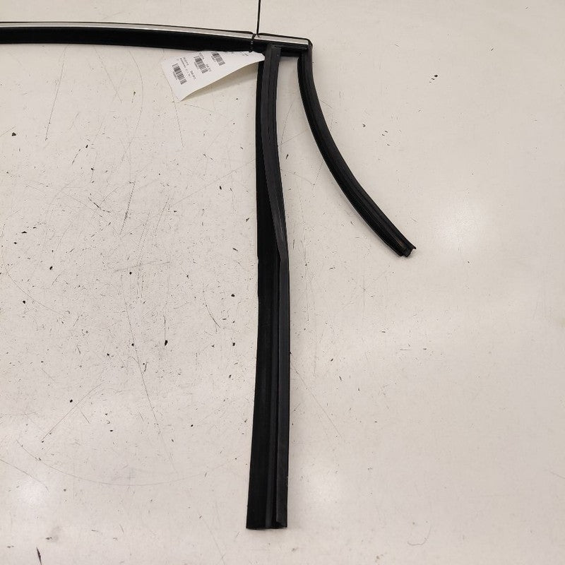 Volvo S60 Door Glass Window Seal Rubber Right Passenger Rear Back  201