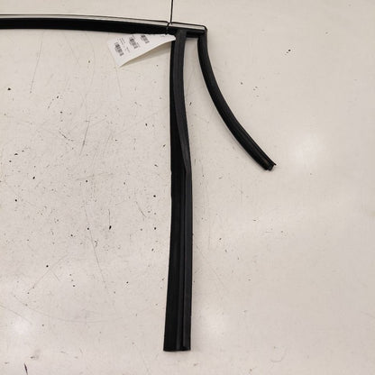 Volvo S60 Door Glass Window Seal Rubber Right Passenger Rear Back  201