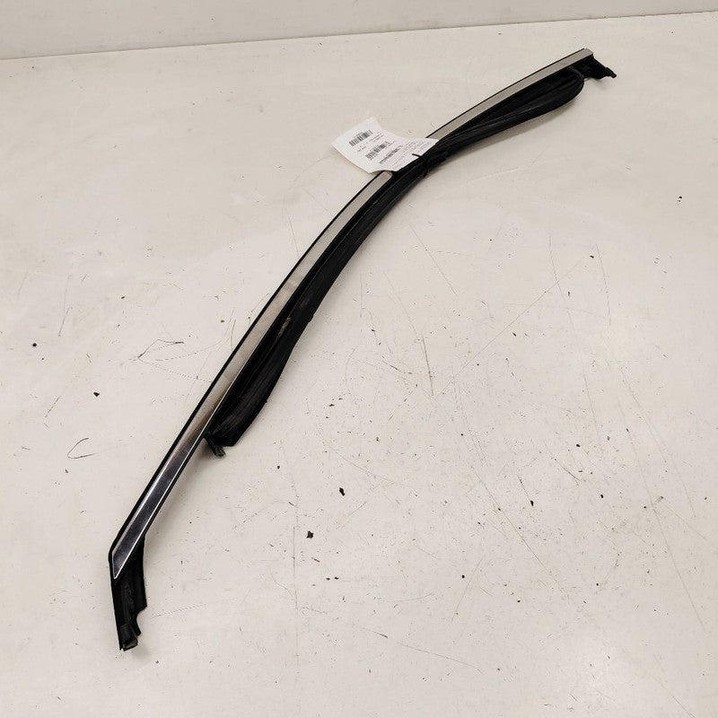 Buick Encore GX Door Glass Window Seal Rubber Left Driver Front  2020 