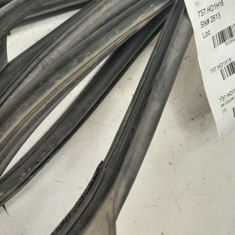 Honda Clarity On Door Seal Rubber Right Passenger Front  2018 2019 202