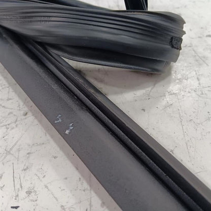 Kia Forte Door Glass Window Seal Rubber Right Passenger Rear Back  2014 2015 201