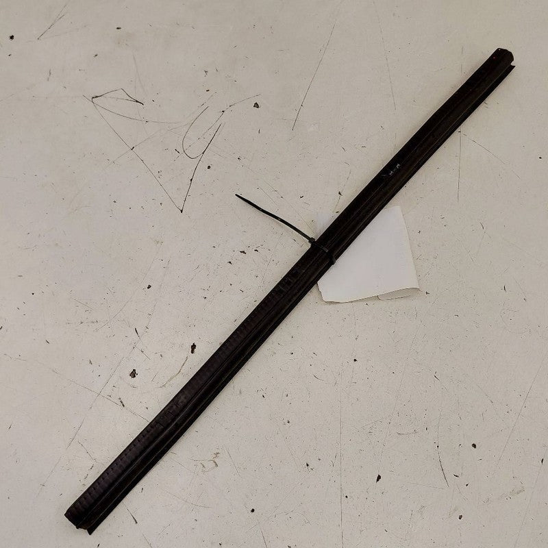 Cadillac XTS Left Rear Weather Strip Interior      2016 2017 2018