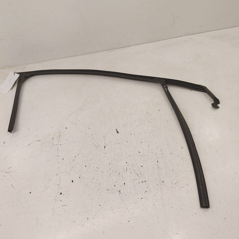 Chevy Equinox Door Glass Window Seal Rubber Left Driver Front  2024 20