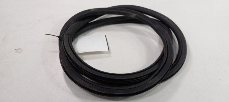 Chevy Cruze On Body Door Jamb Seal Rear Left Back 2016 2017 2018