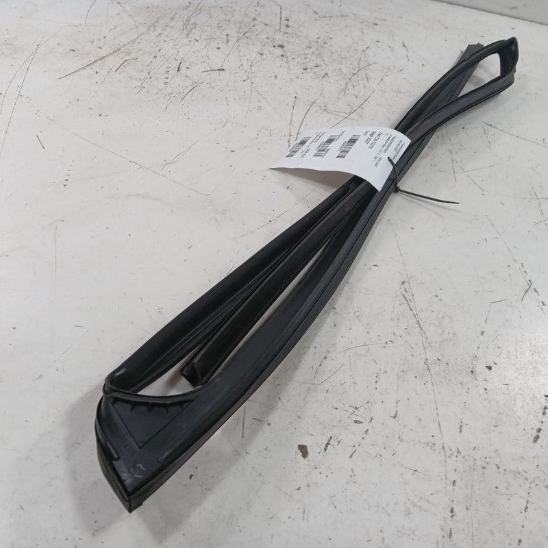 Nissan LEAF Door Glass Window Seal Rubber Left Driver Front  2013 2014