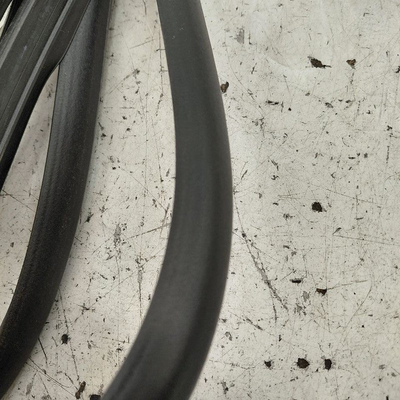 Cadillac CT6 On Door Seal Rubber Right Passenger Front  2018 2017 2016