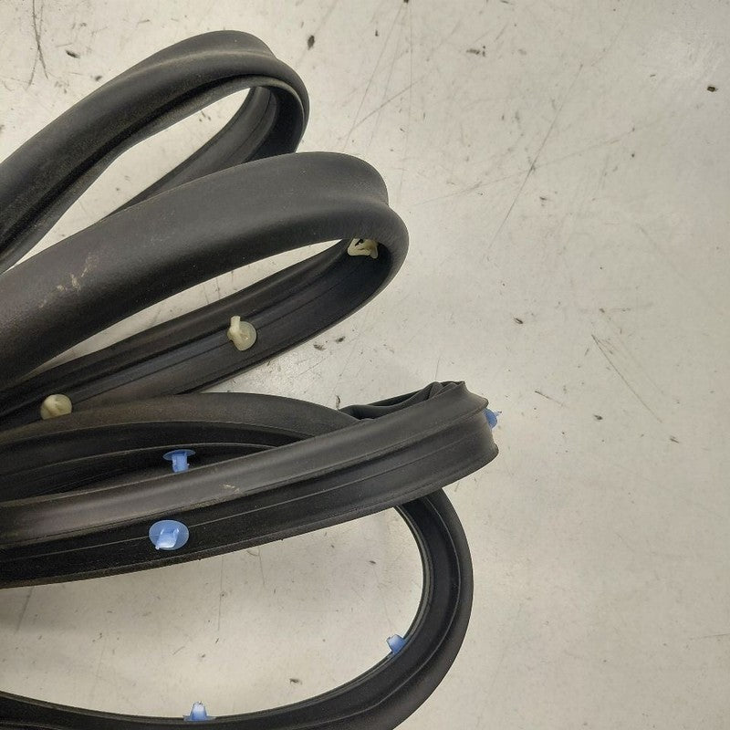 Chevy Volt On Door Seal Rubber Left Driver Rear Back  2016 2017 2018 2