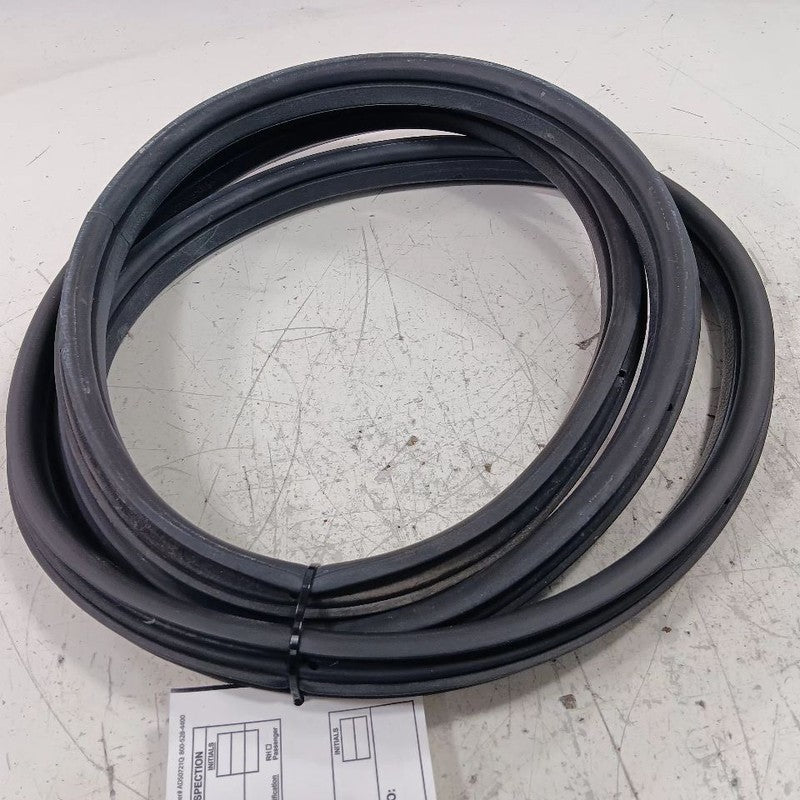 Fiat 500 On Body Door Jamb Seal Rear Left Back 2018 OEM