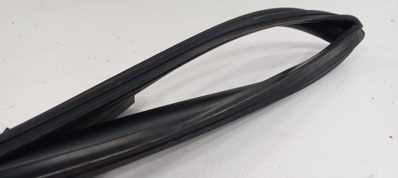 Hyundai Santa Fe Door Glass Window Seal Rubber Right Passenger Rear Ba