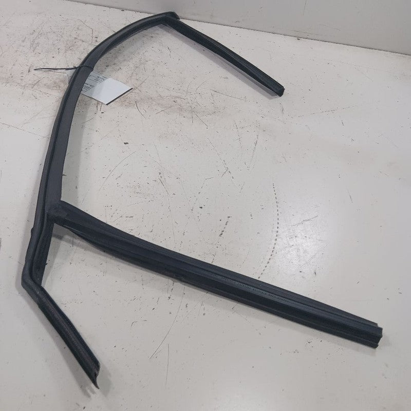 Ford Focus Door Glass Window Seal Rubber Right Passenger Front  2018 2