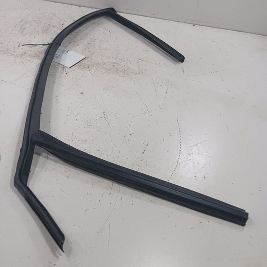 Ford Focus Door Glass Window Seal Rubber Right Passenger Front  2018 2