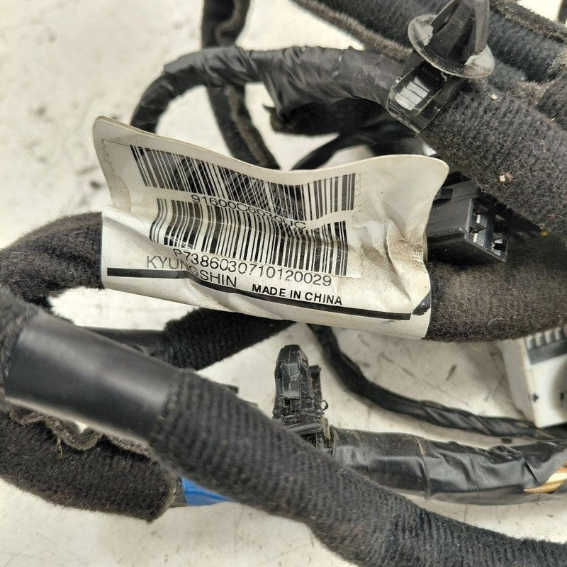 Kia Sorento Door Harness Wire Wiring Left Driver Front  2018 2017 2016