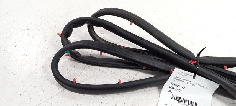 Kia Sorento On Door Seal Rubber Left Rear Back 2016 2017 2018 OEM