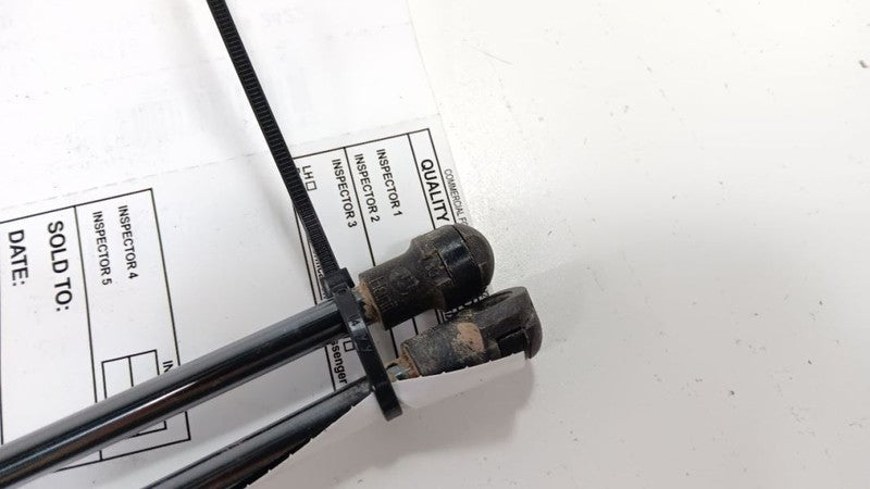 Buick Encore Hatchback Hatch Back Trunk Lid Shock Strut Support 2016 2017 2018 2