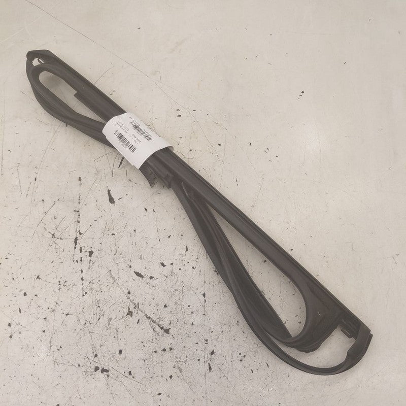 Hyundai Santa Fe Door Glass Window Seal Rubber Left Driver Rear Back  
