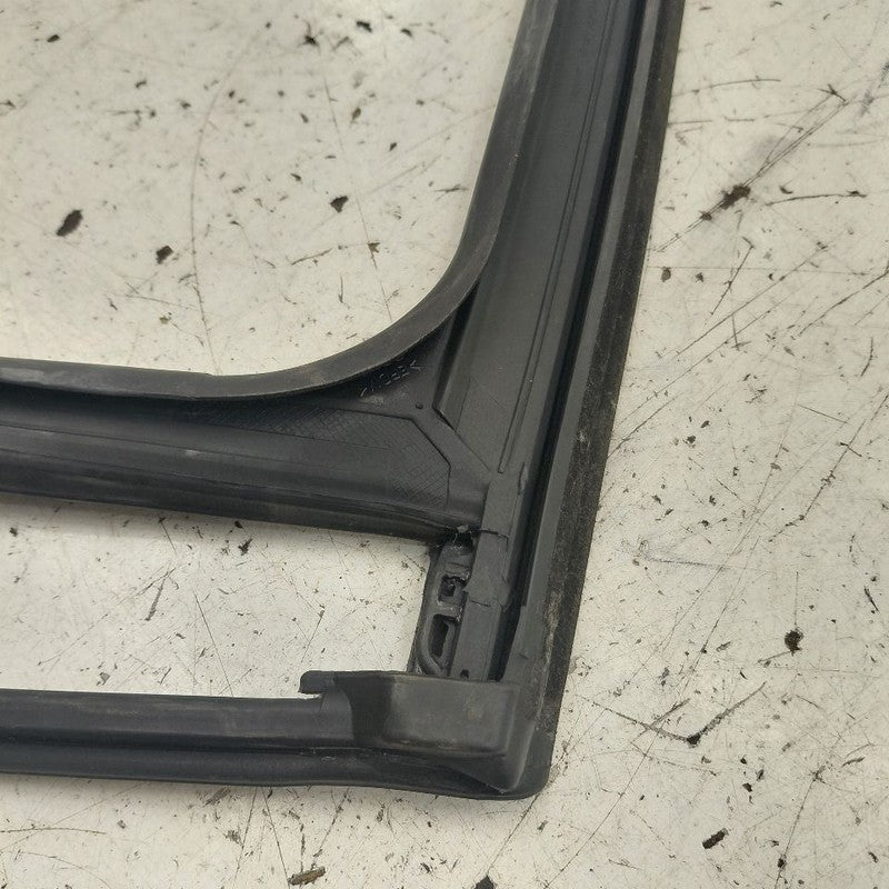 Kia Sorento Door Glass Window Seal Rubber Left Driver Rear Back  2018 