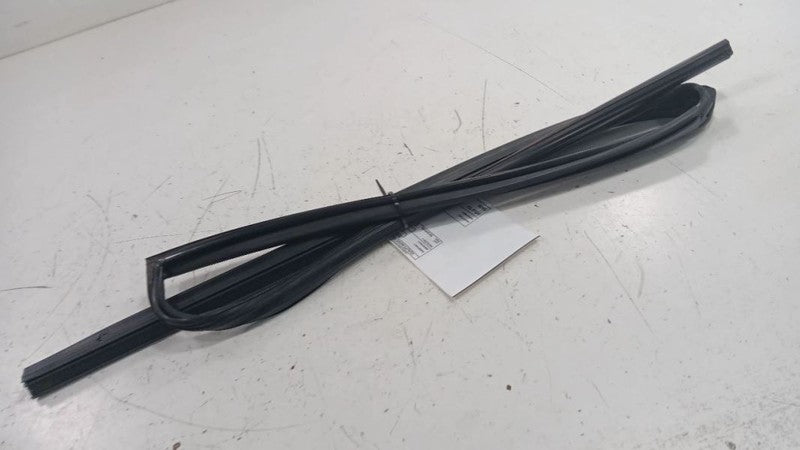 Infiniti G37 Door Glass Window Seal Rubber Right Passenger Rear Back  2009 2010 