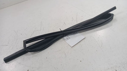 Infiniti G37 Door Glass Window Seal Rubber Right Passenger Rear Back  2009 2010 