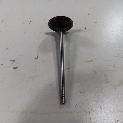 Jeep Compass 2.4 Cylinder Head Intake Valve 2017 2018 2019 2020 2021 2022 2023