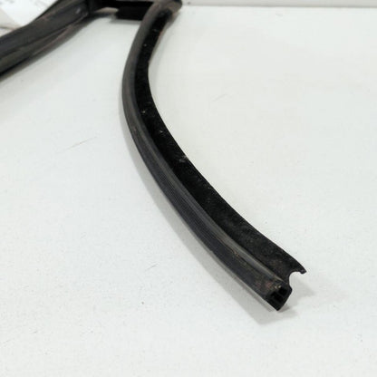 Ford Edge Door Glass Window Seal Rubber Right Passenger Rear Back 2019